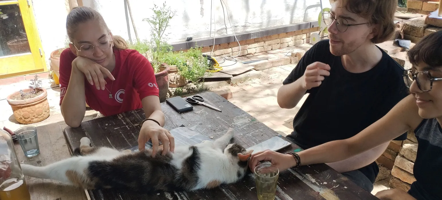 Because in social permaculture, care is a shared practice