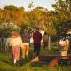 Kents Permaculture Design Course