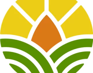 finca verde logo almond sun rising over hills