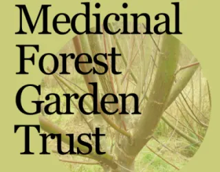 Willow pollard logo of Medicinal Forest Garden Trust