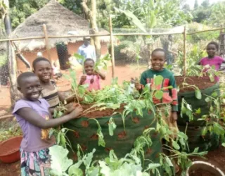 We're actively empowering youths in our community through sustainable agricultural with an aim of fighting hidden hunger and malnutrition in in our societies.