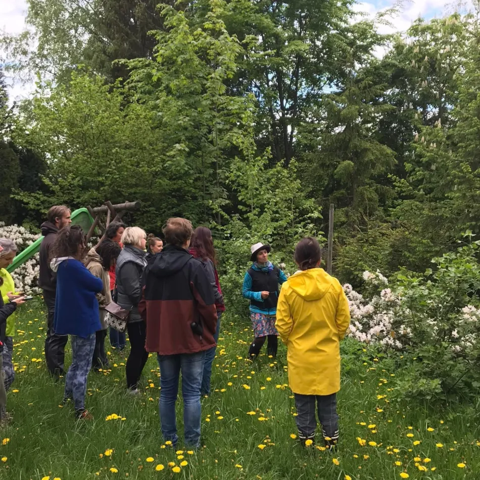 observing young and old trees during the course