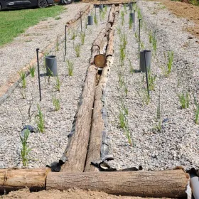 artificial reedbed regenerating waste waters
